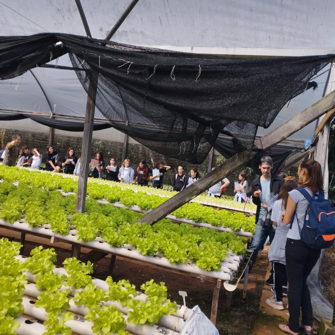 Alunos dos 6°s anos da Unidade Oswaldo Cruz visitam Oma’s Garten Agroecologia e a H2orta Hidroponia