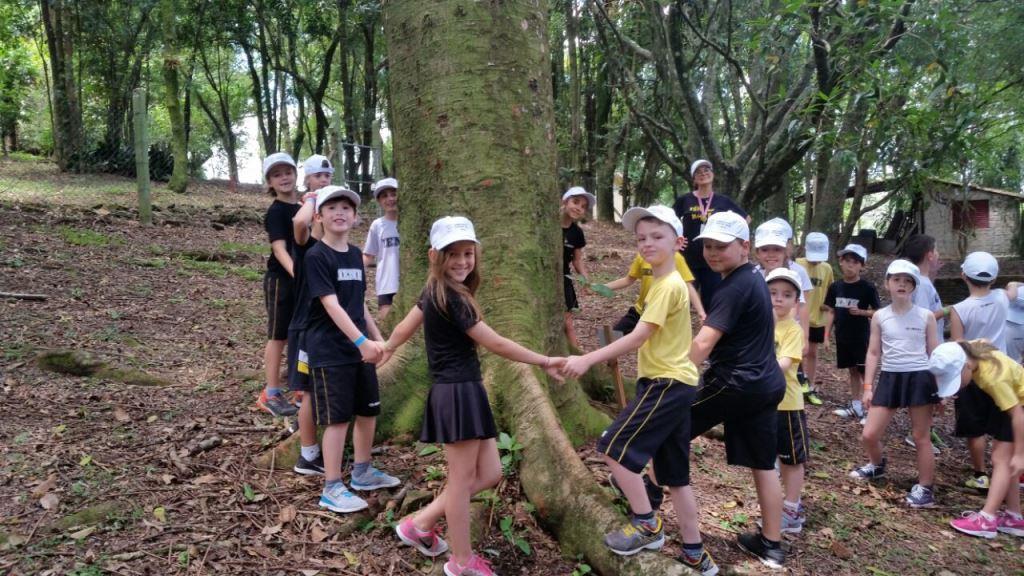 Educação ambiental e diversão na imersão em Língua Inglesa dos alunos bilíngues