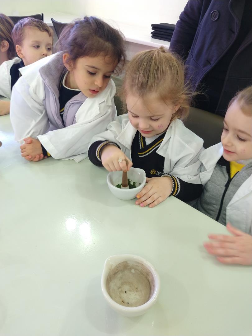 Educação Infantil da IENH tem descoberta e aprendizagem significativa no laboratório de ciências