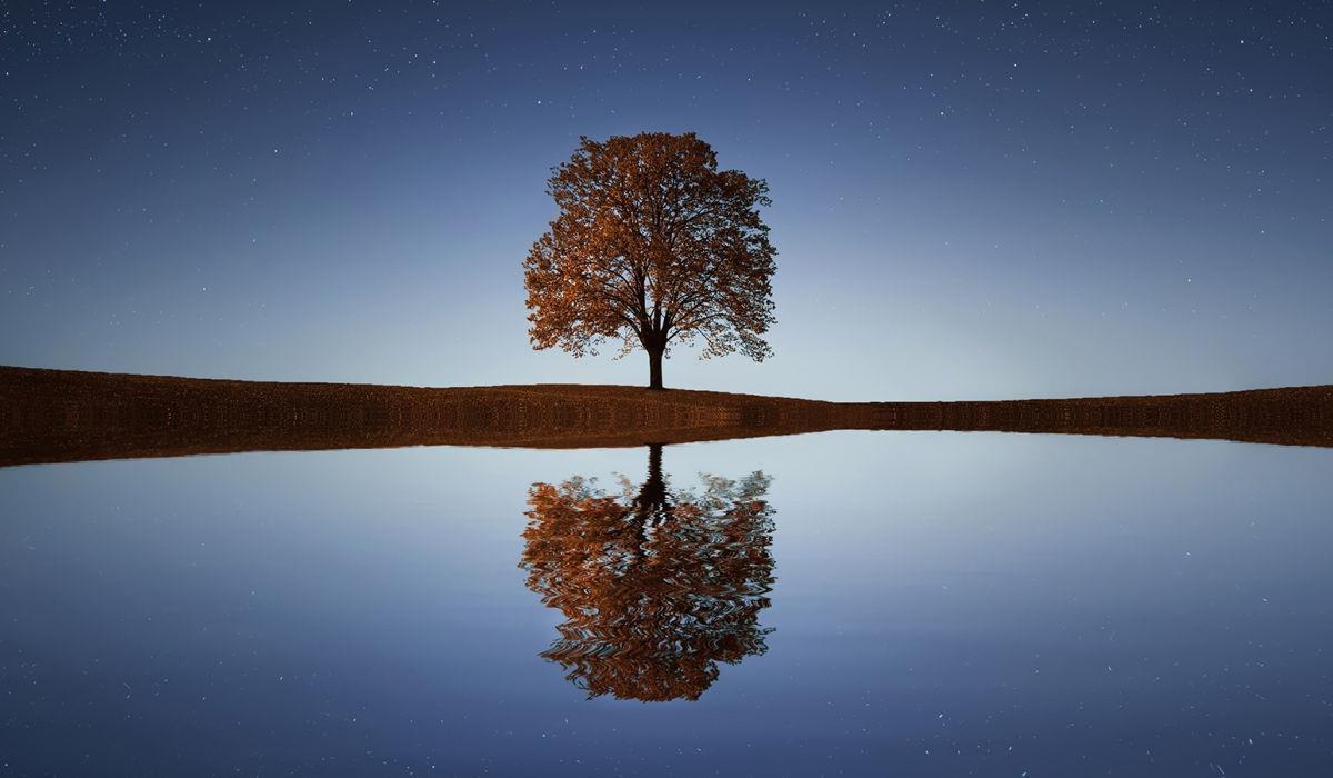 Faculdade IENH promove 3ª edição do Programa Avançado de Mindfulness