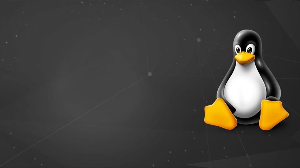 Faculdade IENH promove Curso de Extensão em Linux - módulo I