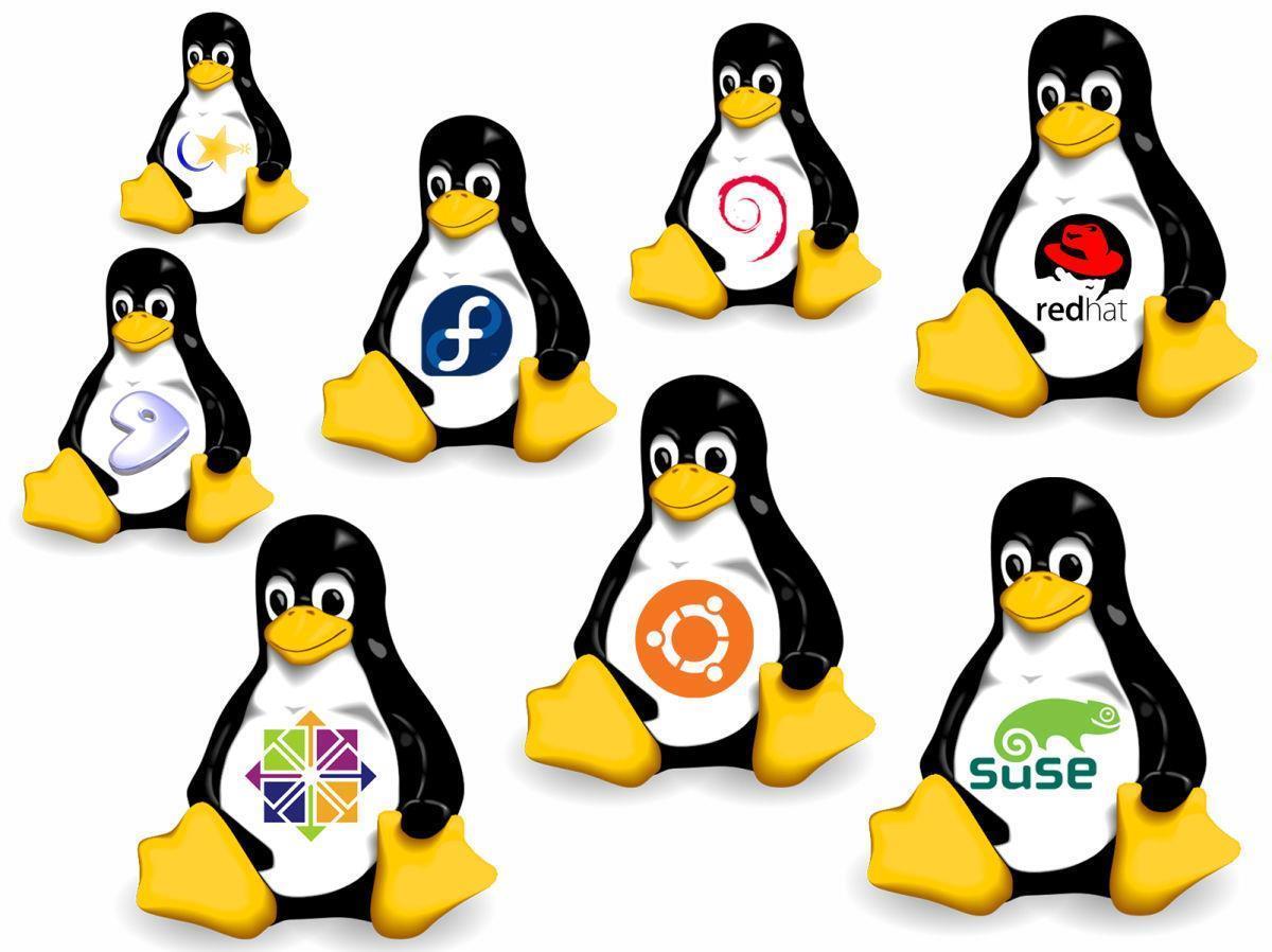 IENH realiza Módulo II do Curso de Extensão em Linux