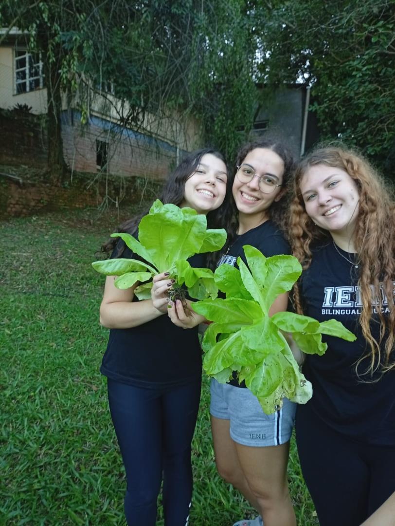 Horta Escolar: 2nd grade da IENH realiza atividade sobre sustentabilidade e educação ambiental