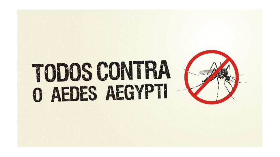 IENH engajada no combate ao mosquito Aedes Aegypti