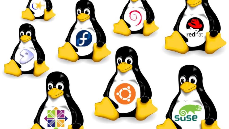 Linux é tema de curso na Faculdade IENH