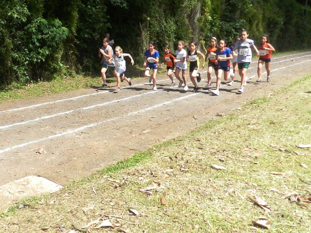 Campeonato Estadual Iniciantes