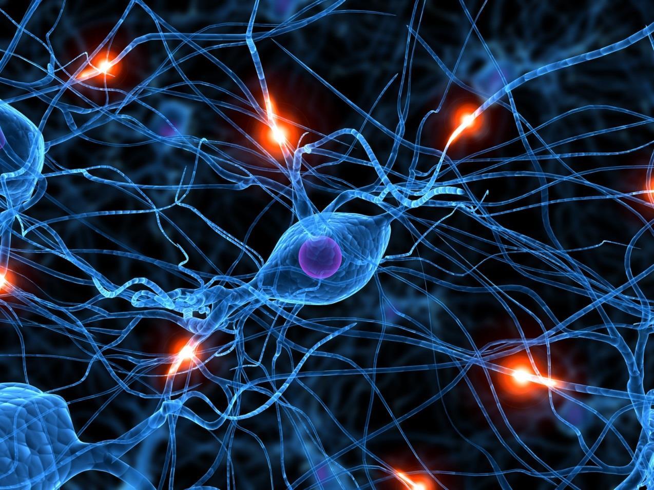 Neurocognição e Aprendizagem