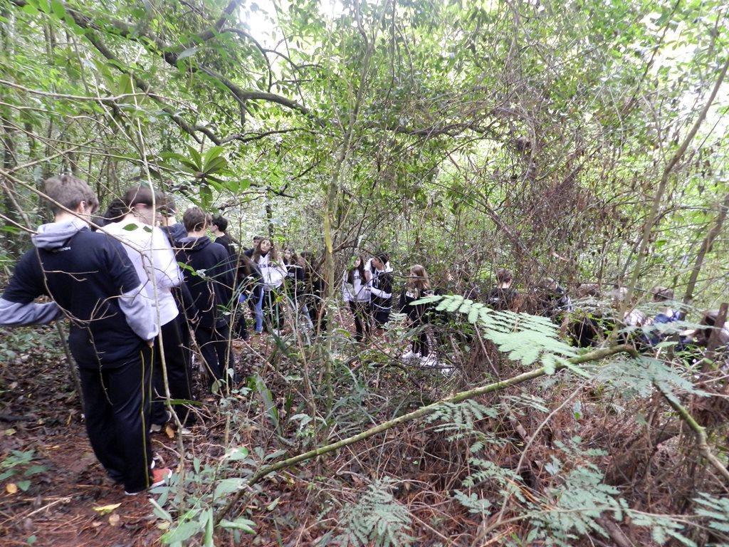 Programações especiais na Semana do Meio Ambiente da IENH