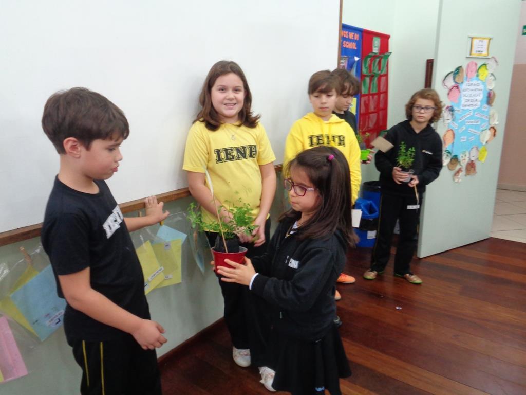 Projeto “Cultura de Paz na escola” promove reflexão sobre os sentimentos na Semana do Meio Ambiente