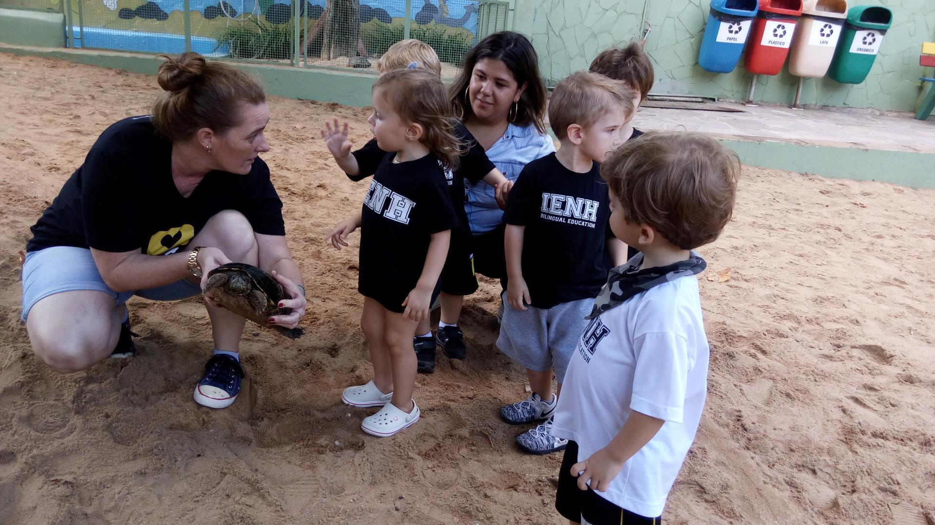 Tartarugas da Unidade Oswaldo Cruz são tema de pesquisa dos Níveis 2 da Educação Infantil