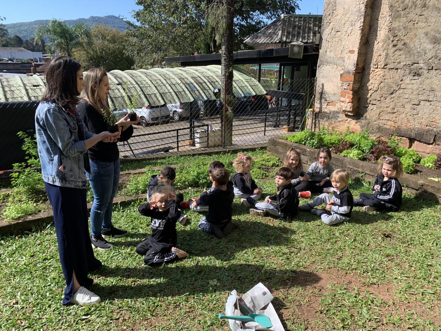 Turma do Nível 2B da Unidade Pindorama vivencia semana de plantio e cuidado com as plantas