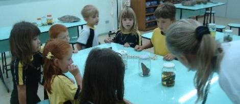 Laboratório de Ciências conta com atendimento diferenciado para os alunos Laboratório de Ciências conta com atendimento diferenciado para os alunos