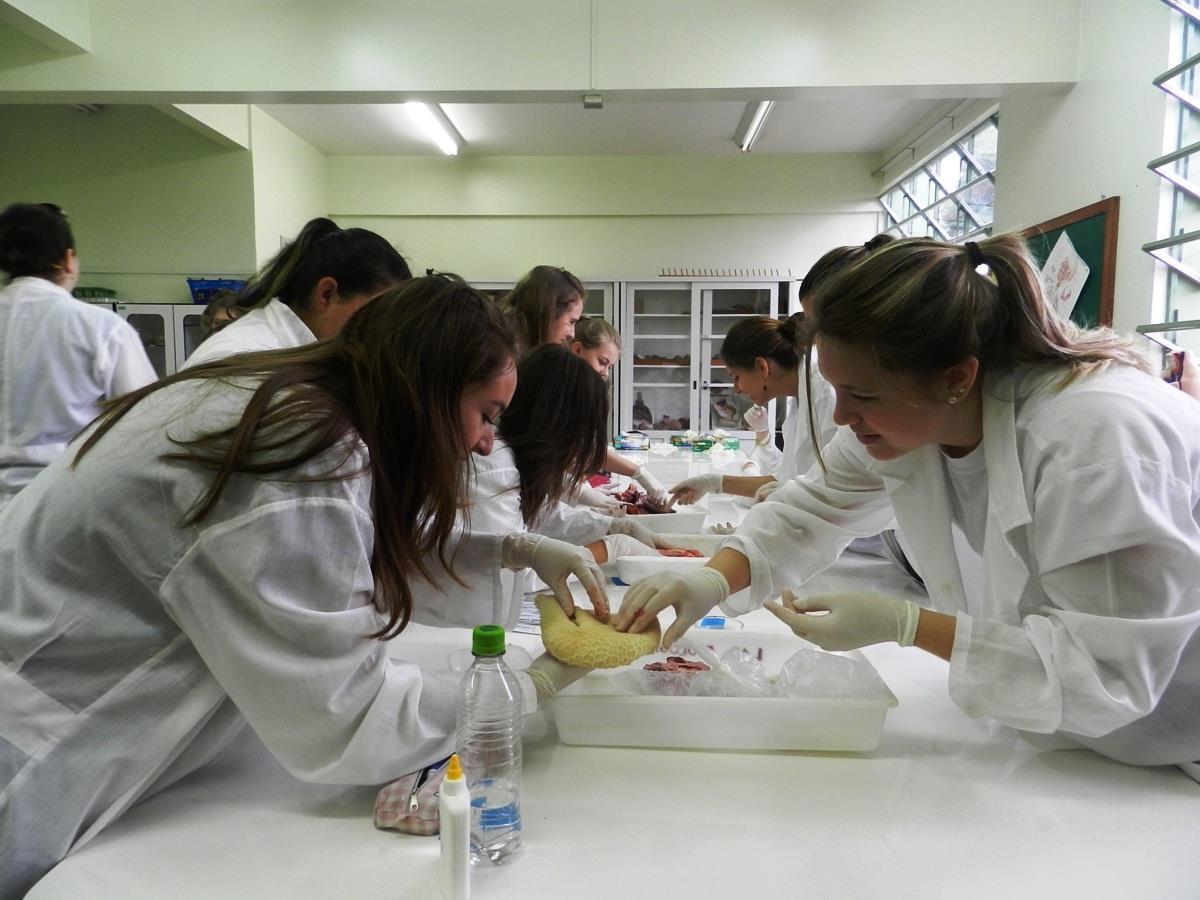 Aula de Anatomia e Fisiologia no Laboratório de Biologia
