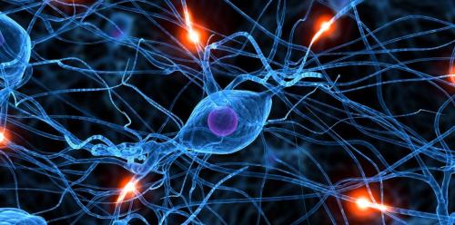 Neurocognição e Aprendizagem